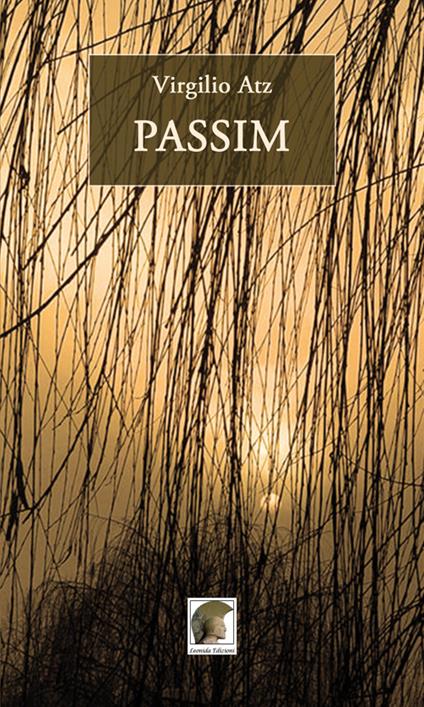 Passim - Virgilio Atz - copertina