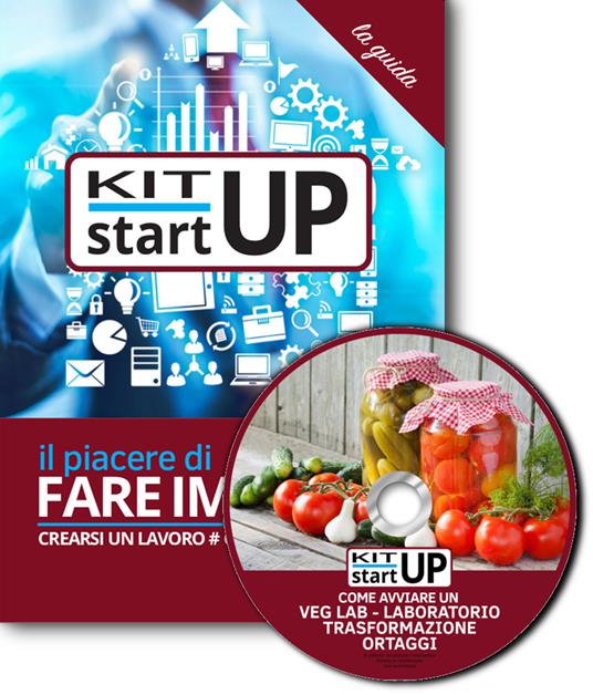 Come avviare un VegLab, laboratorio di trasformazione ortaggi. Con CD-ROM - copertina