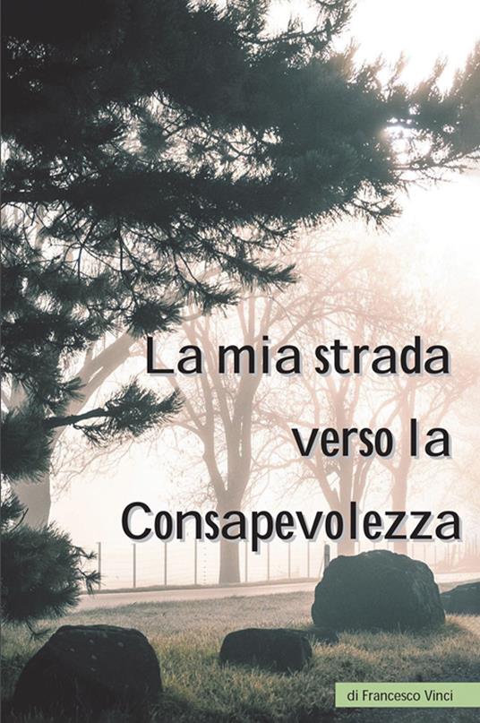 La mia strada verso la consapevolezza - Francesco Vinci - ebook