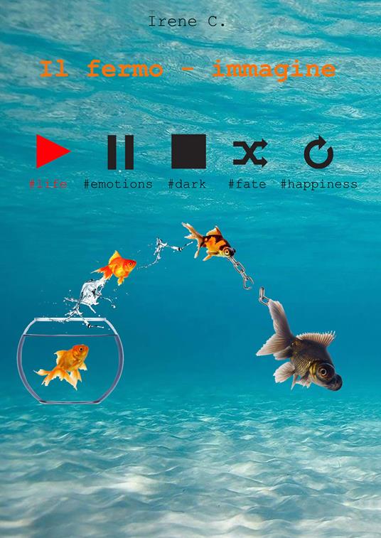 Il fermo - immagine - Irene C. - copertina
