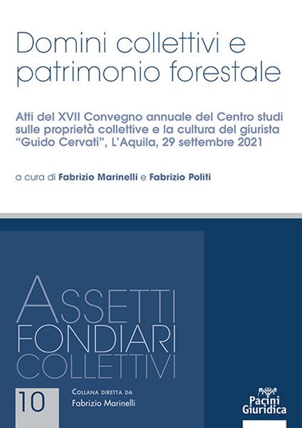 Domini collettivi e patrimonio forestale. Atti del XVII Convegno annuale del Centro studi sulle proprietà collettive e la cultura del giurista «Guido Cervati» (L'Aquila, 29 settembre 2021) - copertina