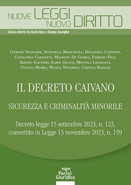 Il decreto Caivano. Sicurezza e criminalità minorile - copertina