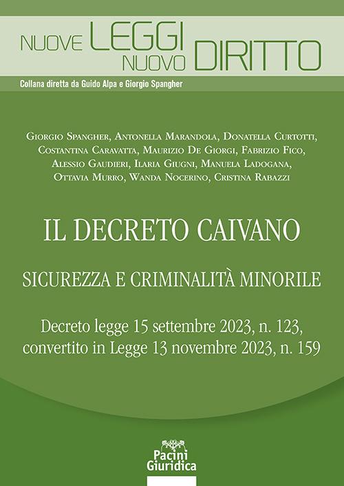 Il decreto Caivano. Sicurezza e criminalità minorile - copertina