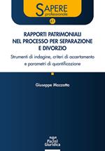 Rapporti patrimoniali nel processo per separazione e divorzio. Strumenti di indagine, criteri di accertamento e parametri di quantificazione