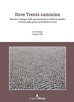 Dove Trento cammina. Nascita e sviluppo delle pavimentazioni stradali in porfido a Trento nella prima metà del Novecento