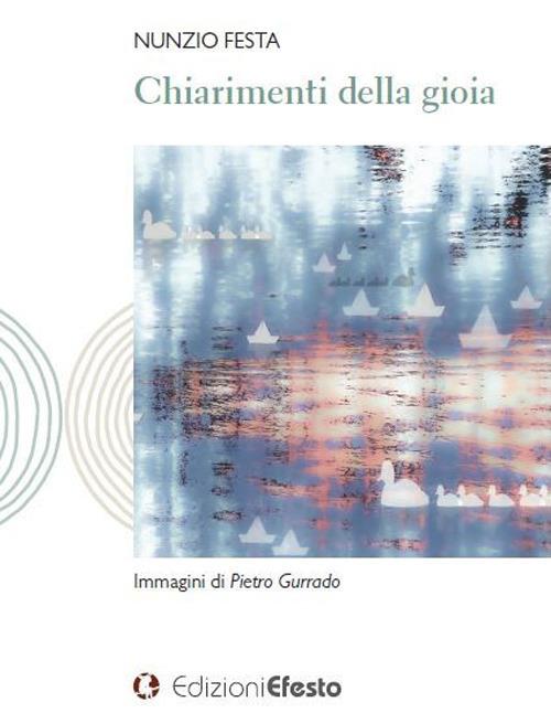 Chiarimenti della gioia - Nunzio Festa - copertina