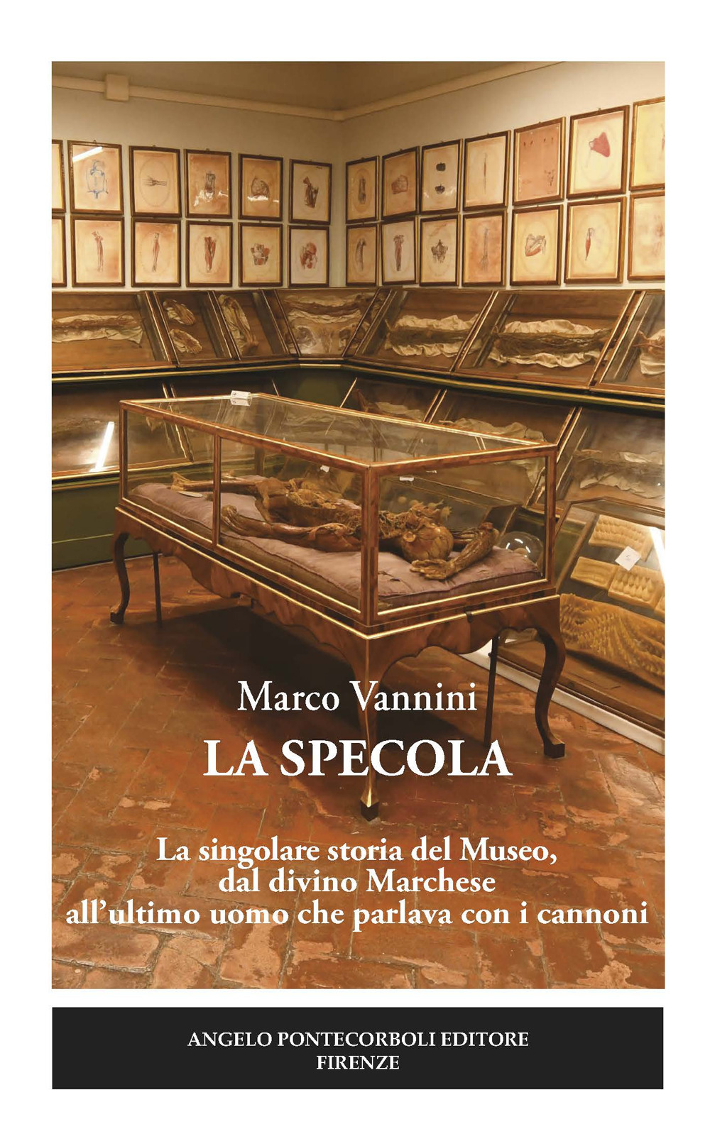 Cinemusica Shop