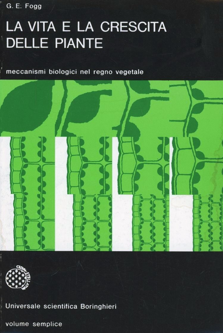 Carù Libreria Dischi