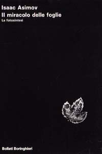 Carù Libreria Dischi