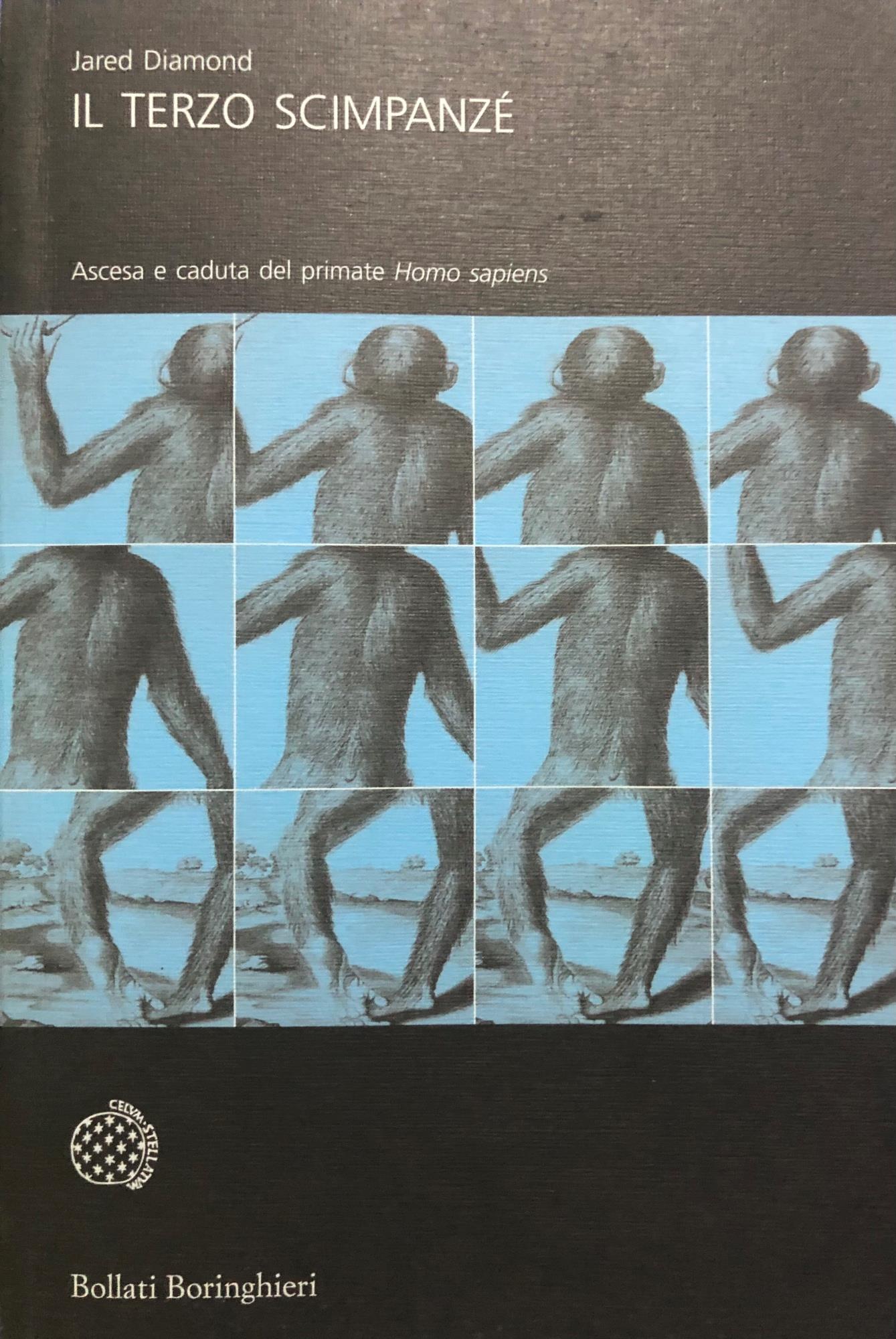 Librisaggi