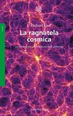 La ragnatela cosmica. La misteriosa architettura dell'universo