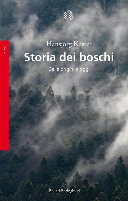 Storia dei boschi. Dalle origini a oggi - Hansjörg Küster,Carola Lodari - ebook