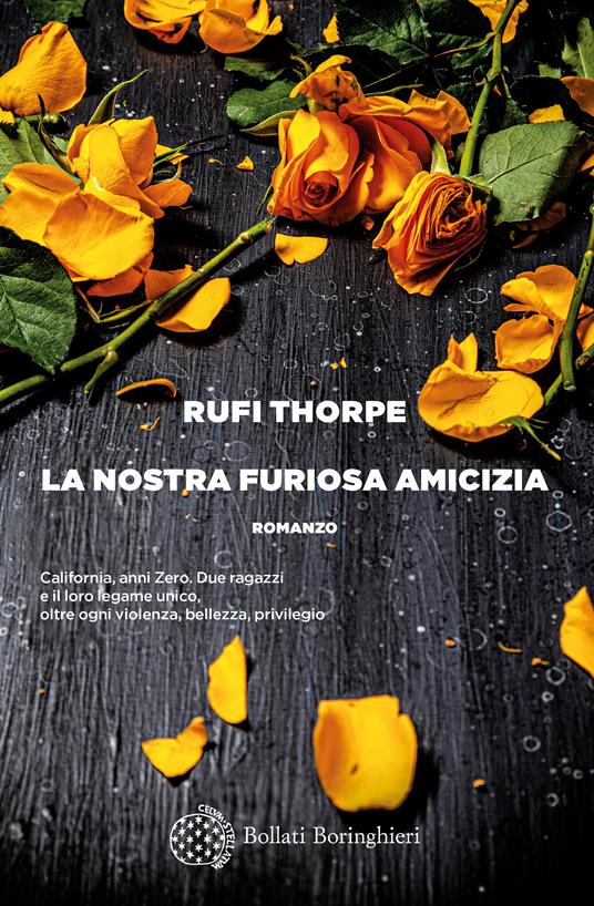 La nostra furiosa amicizia - Rufi Thorpe - copertina