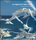 Le migrazioni degli uccelli