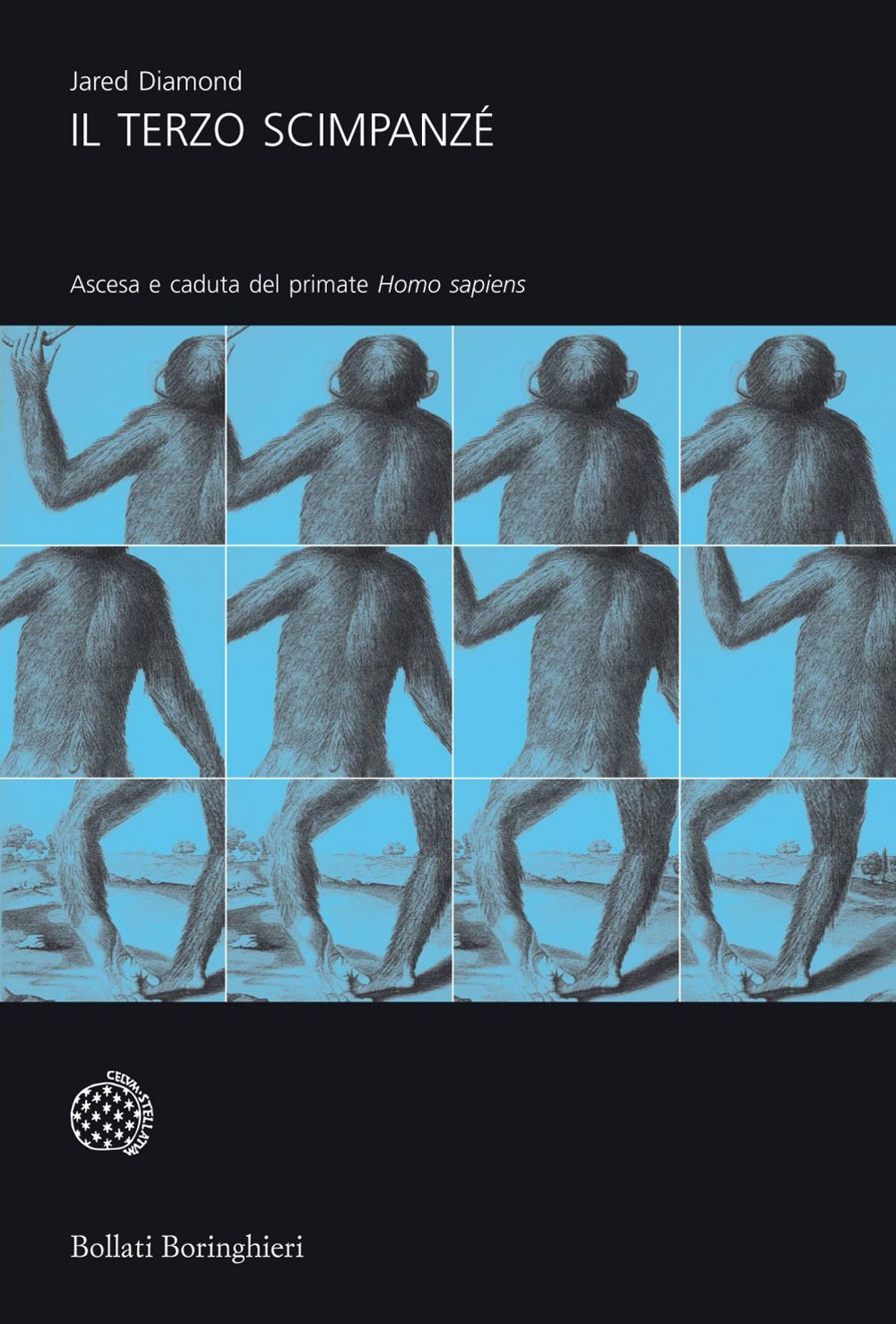 ibs