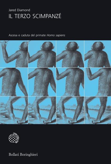 Il terzo scimpanzé. Ascesa e caduta del primate homo sapiens - Jared Diamond,Libero Sosio - ebook