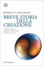 Breve storia della creazione. La ricerca delle origini della vita
