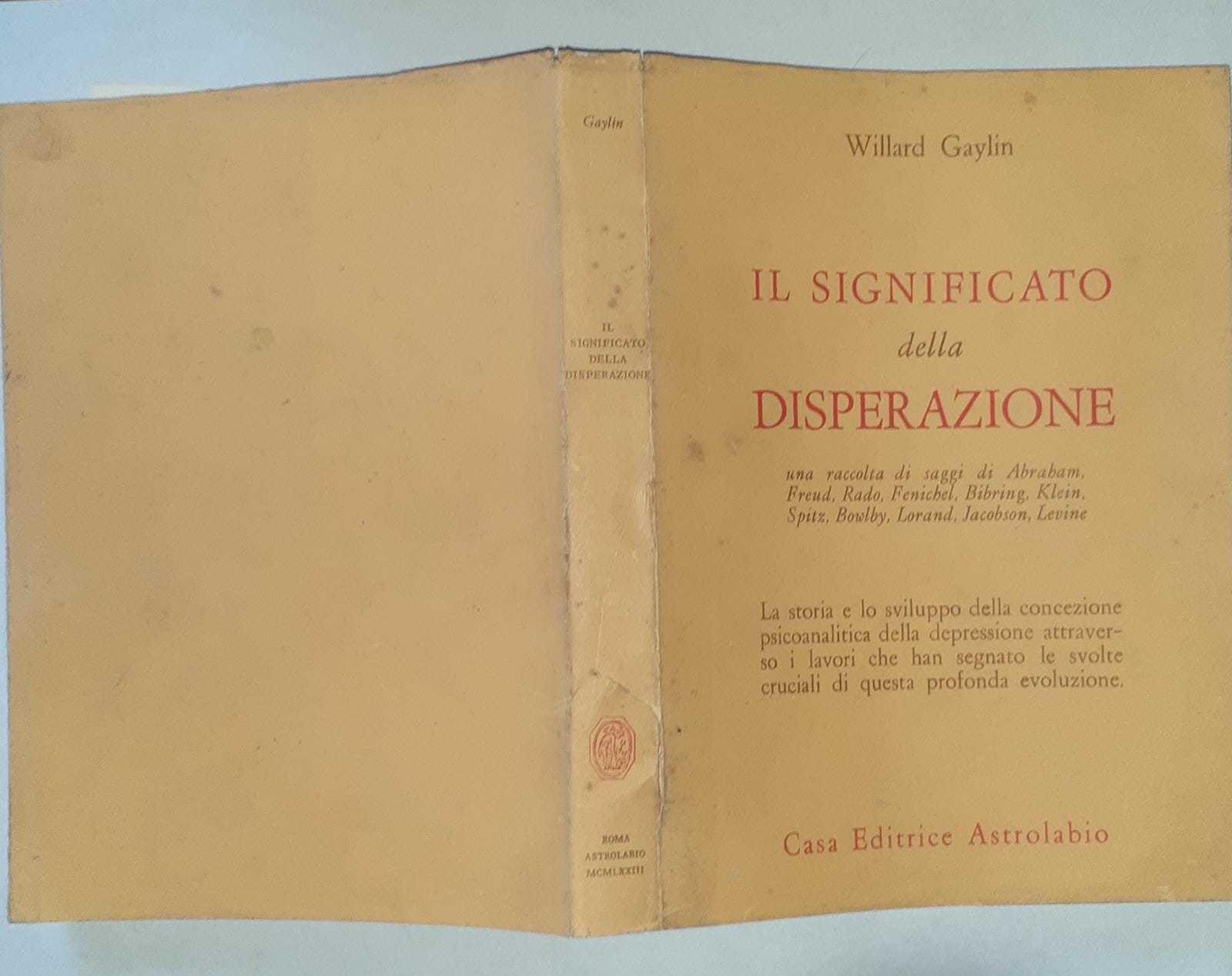 Il significato della disperazione. Contributi psicoanalitici alla comprensione della depressione