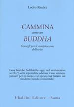 Cammina come un Buddha. Consigli per le complicazioni della vita