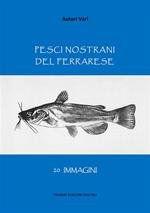 Pesci nostrani del ferrarese