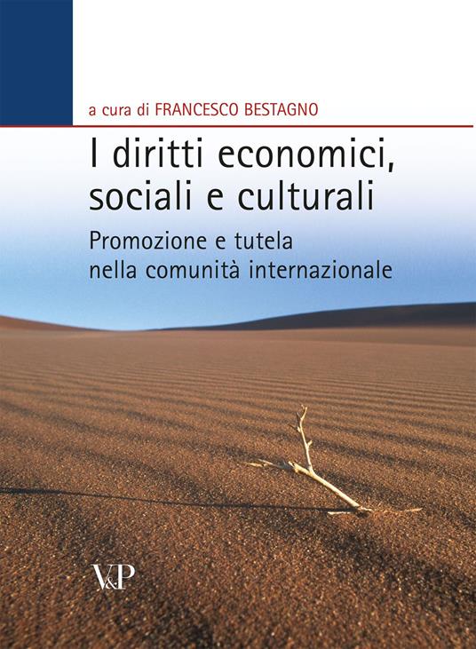 I diritti economici, sociali e culturali. Promozione e tutela nella comunità internazionale - copertina