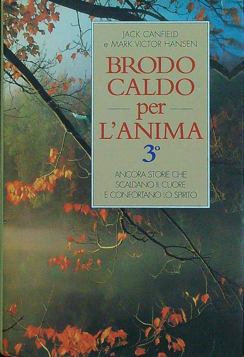 Brodo caldo per l'anima. Storie che scaldano il cuore e confortano lo spirito. Vol. 3