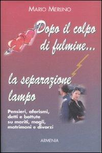 Dopo il colpo di fulmine... la separazione lampo - Mario Merlino - copertina