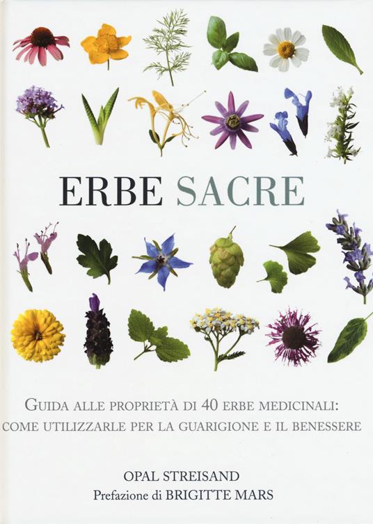 Erbe sacre - Opal Streisand - copertina