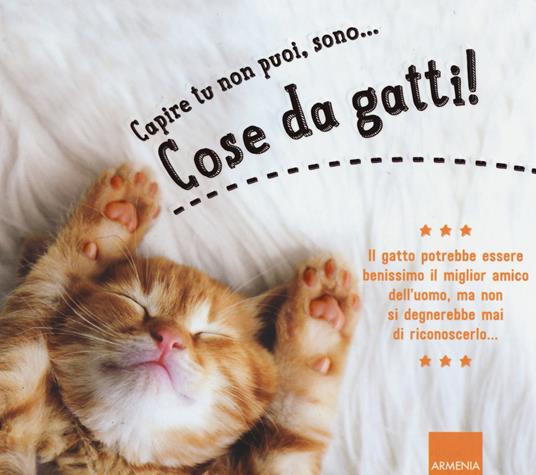 Capire tu non puoi, sono... cose da gatti! Ediz. a colori - copertina