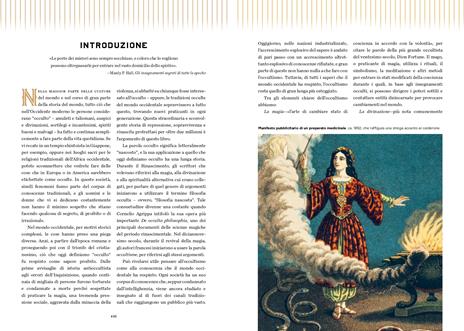 Il libro dell'occulto. Un viaggio cronologico dall'alchimia alla wicca. Ediz. a colori - John Michael Greer - 3