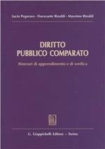 Diritto pubblico comparato. Itinerari di apprendimento e di verifica