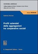 Profili aziendali delle aggregazioni tra cooperative sociali