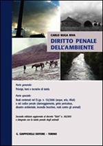 Diritto penale dell'ambiente