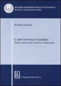 Il diritto penale «flessibile». Quando i diritti umani incontrano i sistemi penali - Andreana Esposito - copertina