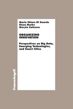 Organizing innovation. Perspectives on big data, emerging technologies, and smart cities