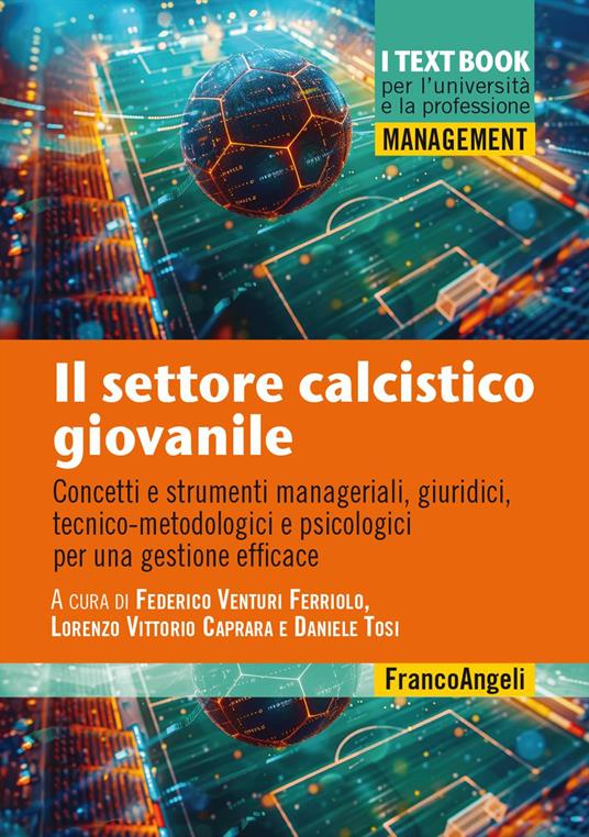 Il settore calcistico giovanile. Concetti e strumenti manageriali, giuridici, tecnico-metodologici e psicologici per una gestione efficace - copertina