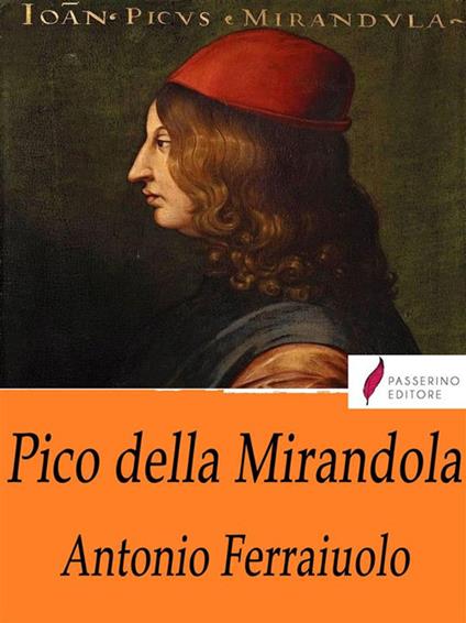 Pico della Mirandola - Antonio Ferraiuolo - ebook