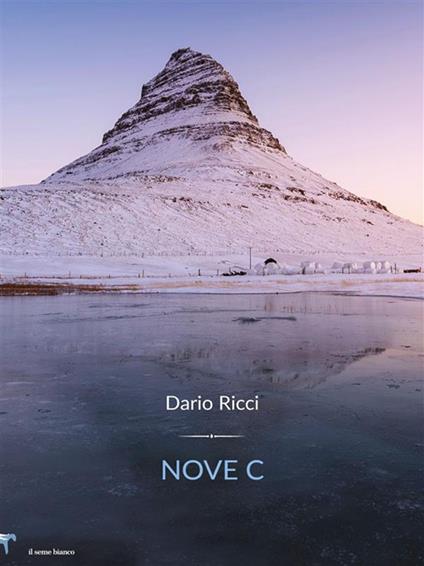 Nove C. - Dario Ricci - ebook