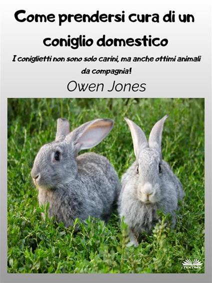 Come prendersi cura di un coniglio domestico. I coniglietti non sono solo carini, ma anche ottimi animali da compagnia! - Owen Jones,Irene Berri - ebook
