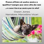 Come Offrire Al Vostro Amico A Quattro-Zampe Una Vera Vita Da Cani