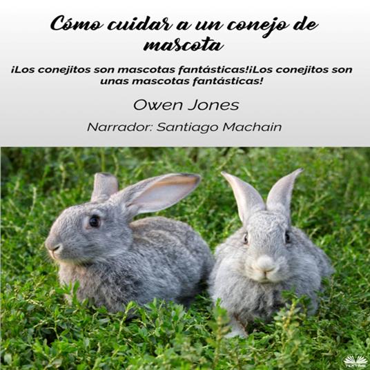 Cómo Cuidar A Un Conejo De Mascota