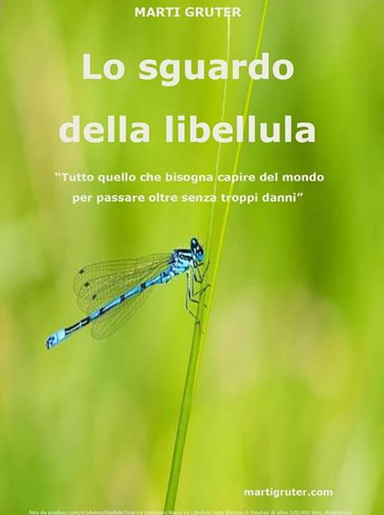 Lo sguardo della libellula. «Tutto quello che bisogna capire del mondo per passare oltre senza troppi danni» - Marti Gruter - ebook