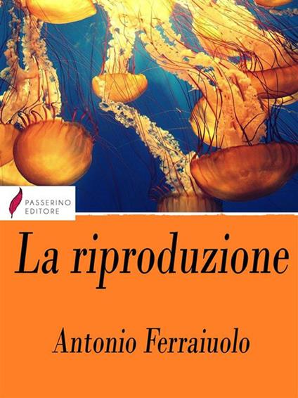 La riproduzione - Antonio Ferraiuolo - ebook