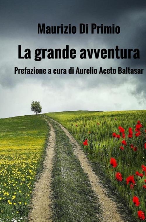 La grande avventura. Le rime di una vita - Maurizio Di Primio - copertina