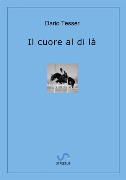 Il cuore al di là - Dario Tesser - copertina