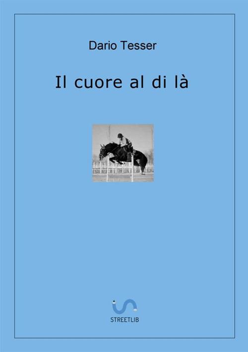 Il cuore al di là - Dario Tesser - copertina