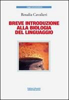Nome prodotto