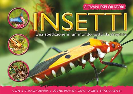 Insetti. Una spedizione in un mondo tutto da scoprire. Ediz. a colori - copertina