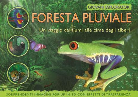 La foresta pluviale. Un viaggio dai fiume alle cime degli alberi. Ediz. a colori - copertina