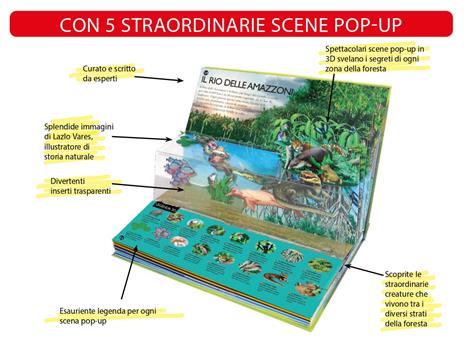 La foresta pluviale. Un viaggio dai fiume alle cime degli alberi. Ediz. a colori - 2